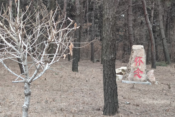 选择沈阳公墓要考虑什么原则？