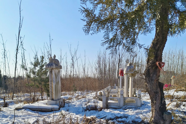 沈阳墓地生态葬应该如何选择？绿色殡葬新风尚引领环保潮流