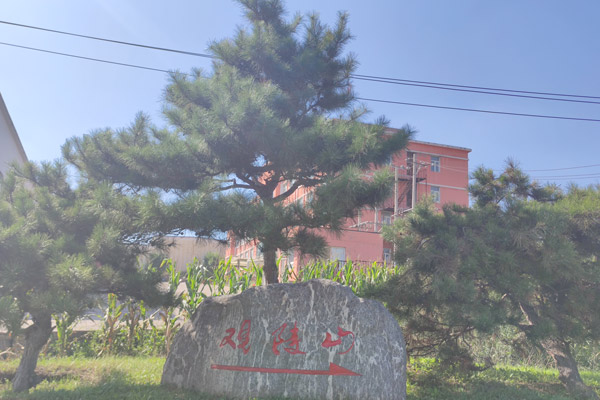 建造路碑，指引沈阳公墓方向，守护哀思之地