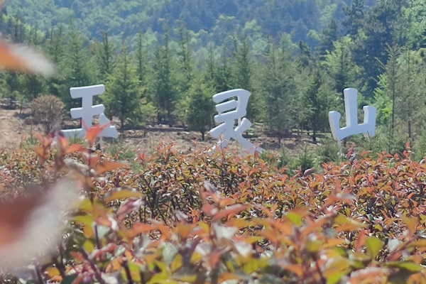 沈阳墓地为什么不适合建造多处假山流水