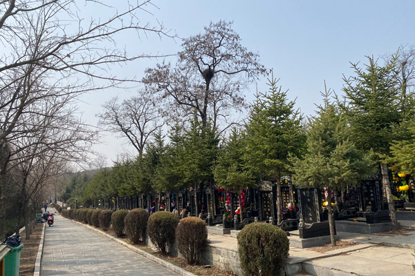 沈阳墓地生态葬式价格解析，与普通墓位的比较