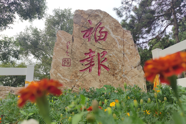 沈阳陵园引领潮流，积极推广电子祭祀，传承绿色殡葬新风尚