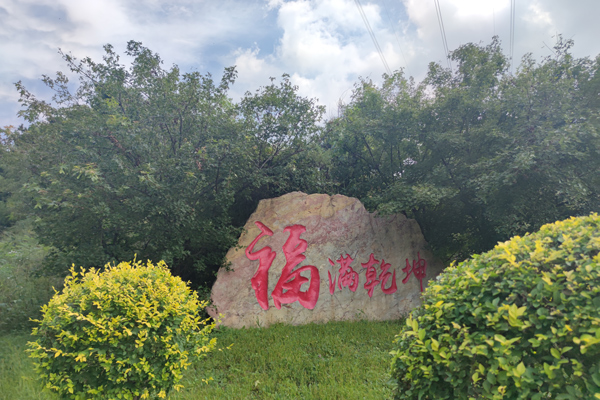 如果多人同时在沈阳公墓下葬怎么办？