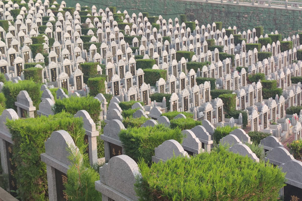 沈阳墓园：隐藏在绿色中的永恒记忆