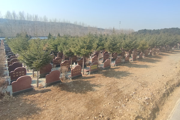 沈阳墓园生态葬选择指南：绿色殡葬，传承和谐