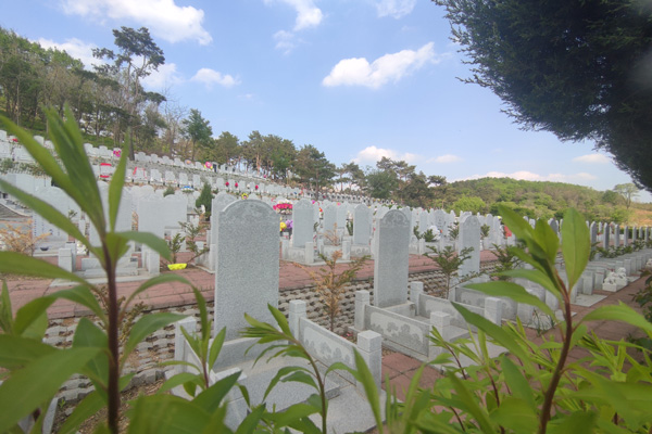 沈阳公墓墓碑材质大揭秘：不同材质墓碑的区别与特点