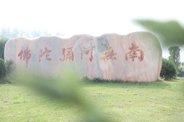 沈阳墓园选购攻略：一次性缴费的真相与考量