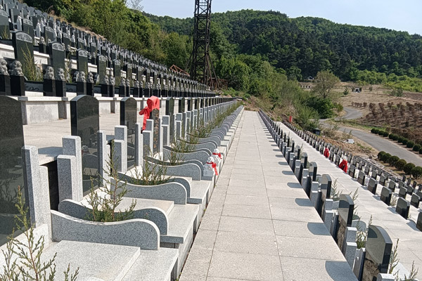 沈阳墓地经常打扫，传递对逝者的尊重与关怀