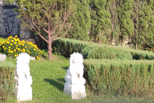 沈阳墓地的安葬禁忌：传统与文化的传承