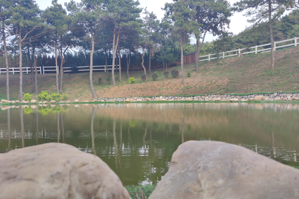 沈阳墓地墓位：水边之地，哀思与自然的交融
