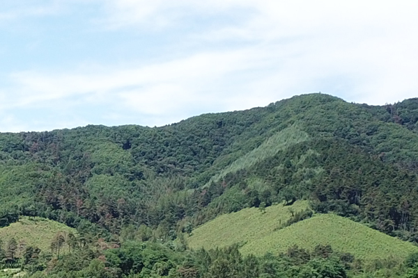 沈阳公墓附近的山：缅怀之地与生态绿肺的双重作用