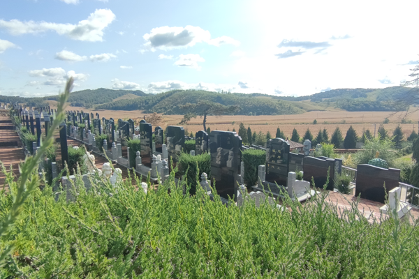 沈阳墓地祭祀活动:了解墓地祭祀的基本流程 沈阳墓地祭祀活动:了解墓地祭祀的基本流程