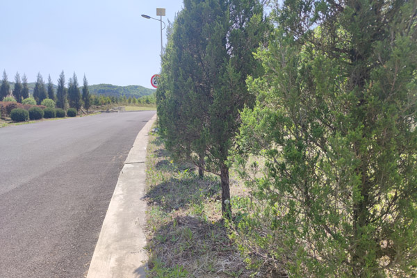 沈阳墓地安葬服务解析:多样服务满足不同需求 沈阳墓地安葬服务解析:多样服务满足不同需求