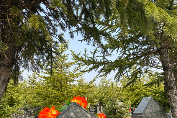 沈阳公墓安葬服务详览：细致入微，温情服务