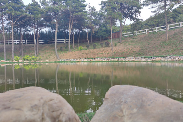 沈阳公墓活水与死水的区别：探寻殡葬文化中的自然美学
