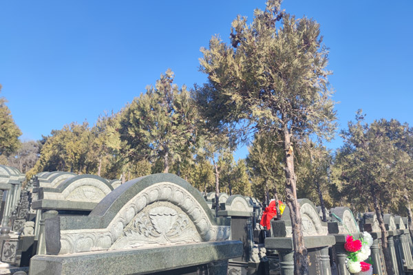 选购沈阳墓地：舒心才是重要的