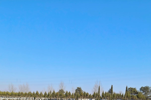 沈阳墓地的服务项目：温情缅怀，细致入微的关怀