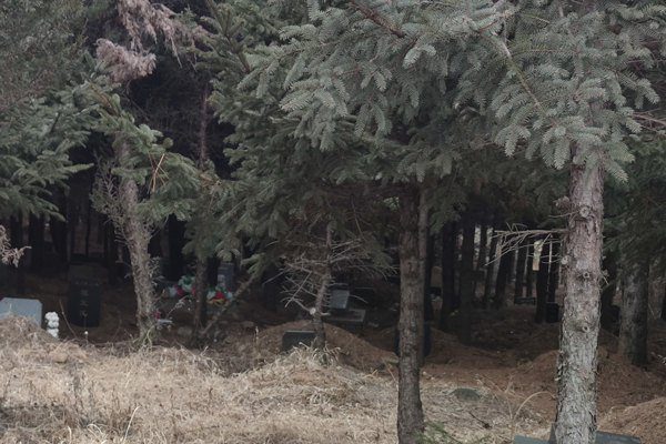 沈阳墓地墓碑类型多样,了解不同风格与材质 沈阳墓地墓碑类型多样,了解不同风格与材质