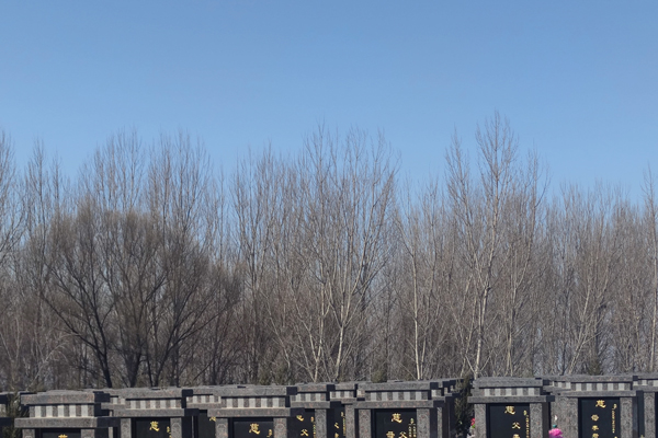 沈阳公墓中墓碑种类与碑文图案浅析：文化内涵与审美风格的融合