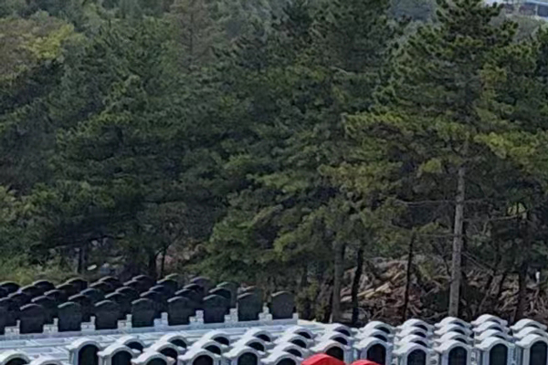 沈阳陵园风光掠影：静谧之地，自然与人文的和谐交融