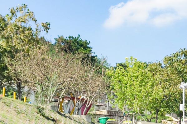 沈阳盘龙福地园林公墓：倡导绿色生态安葬，传承和谐文化