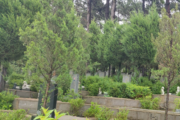 沈阳墓园：静谧之地，绿意盎然
