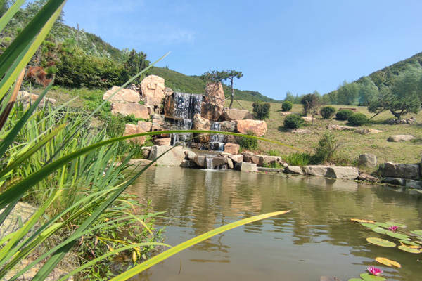 沈阳墓园喷泉:宁静之美,寄托哀思 沈阳墓园喷泉:宁静之美,寄托哀思