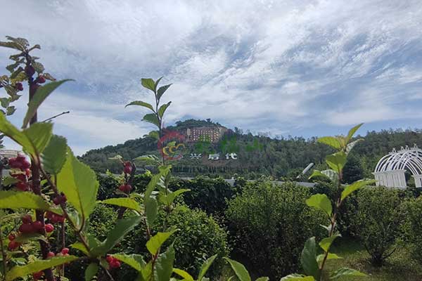 沈阳龙福山墓园，四季变换生命的宁静港湾